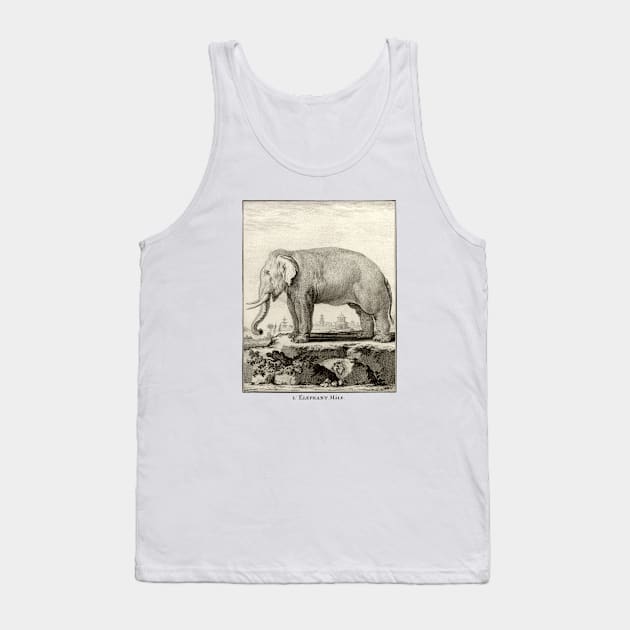 18th C. Male Elephant Tank Top by historicimage